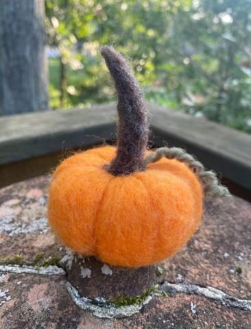pumpkin